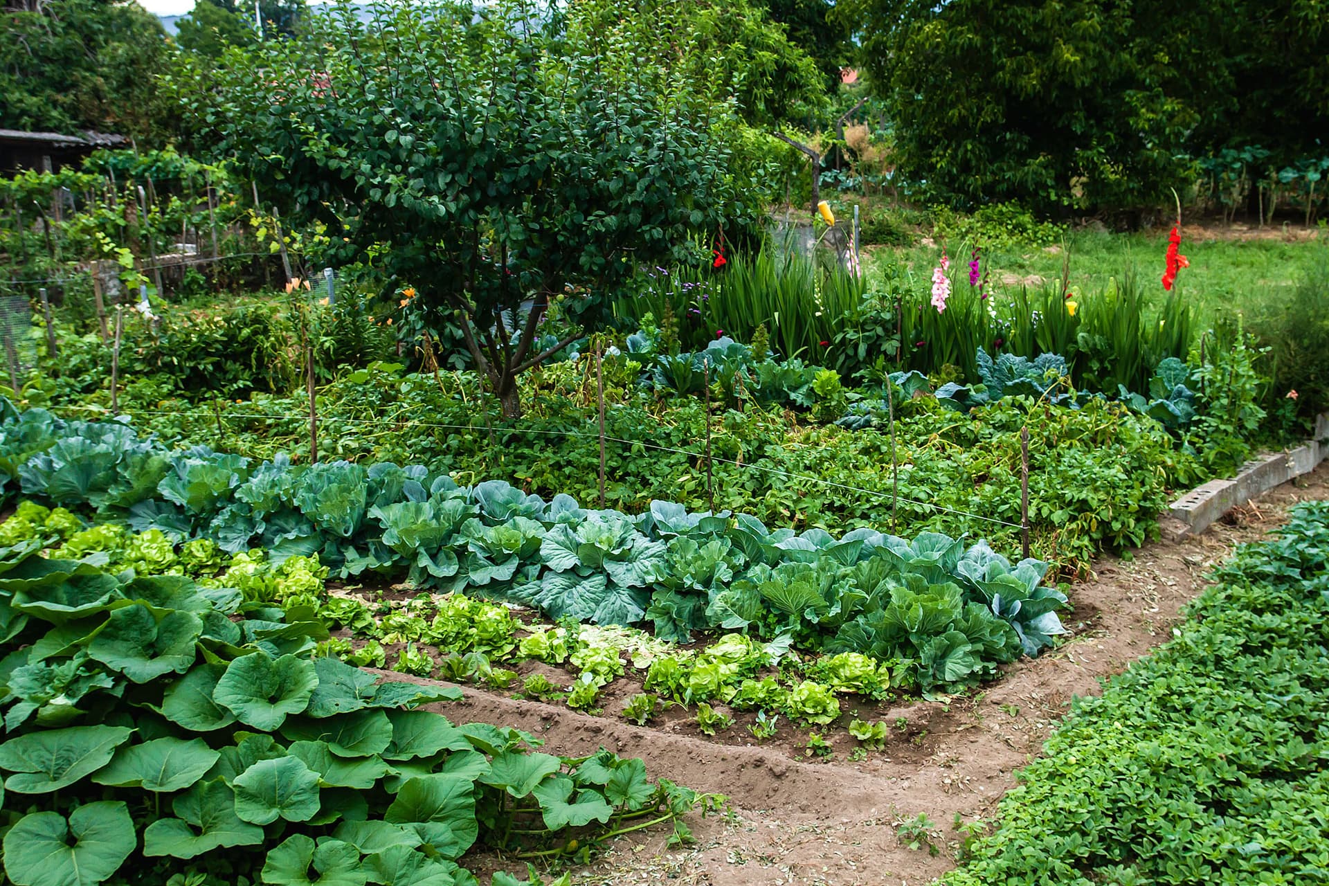 Venta de productos para el campo y los animales en Pontevedra